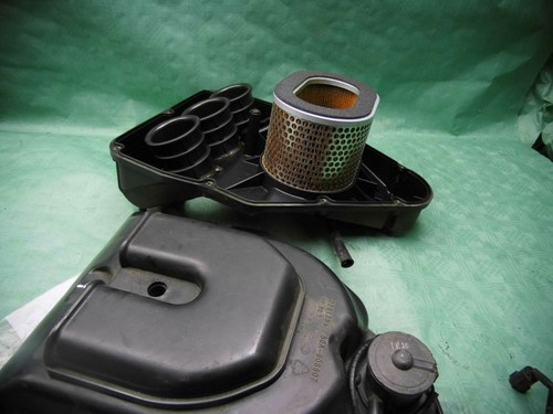 Triumph airbox - airbox, (int.c4*)