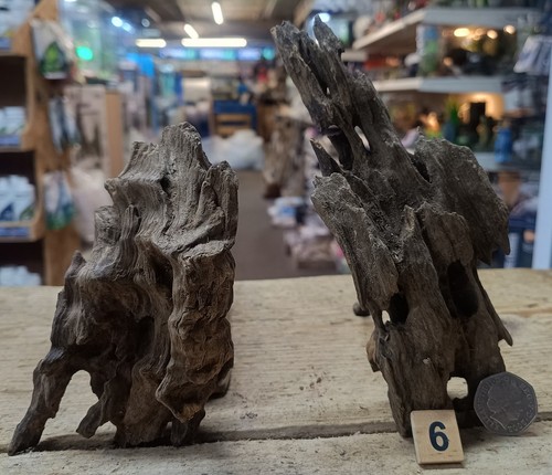 Nano dragon wood bundles - nano,