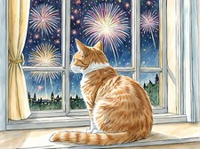 A5 greeting card can be personalised on front A5 Birthday Cat Cats Missing You