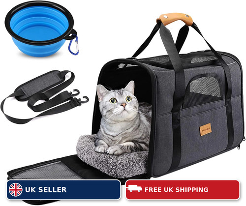 Portable cat and small - cat,
