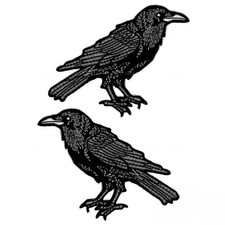 Crow Raven Embroidery Black