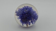 Hafod grange 1992 cornflower - hafod,