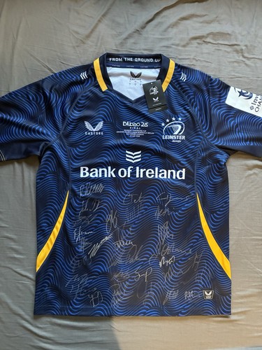 Leinster rugby bilbao final - bilbao,