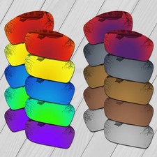 POLARIZED Replacement Lens &