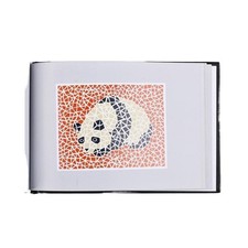 Color Vision Test Kit Ishihara