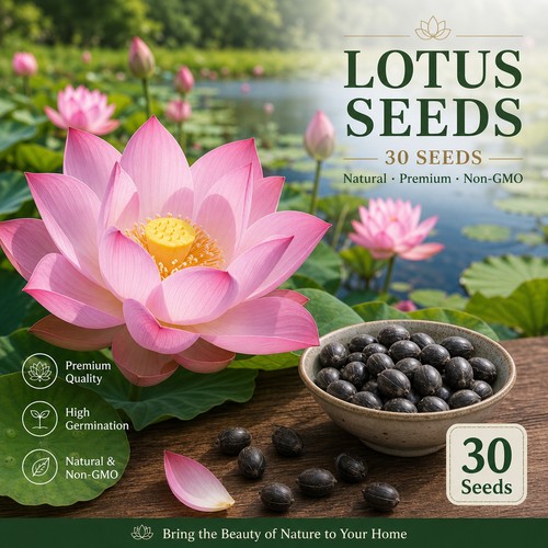 Seeds lotus mix flower - 30×seeds,