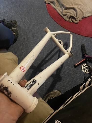 Fit bike eddie - bike, v2