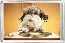 AA Dog Fridge Magnet with