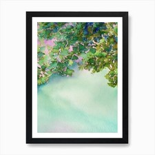 Acropora Granulosa Storybook