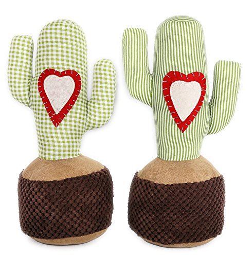 Take home cactus - home,