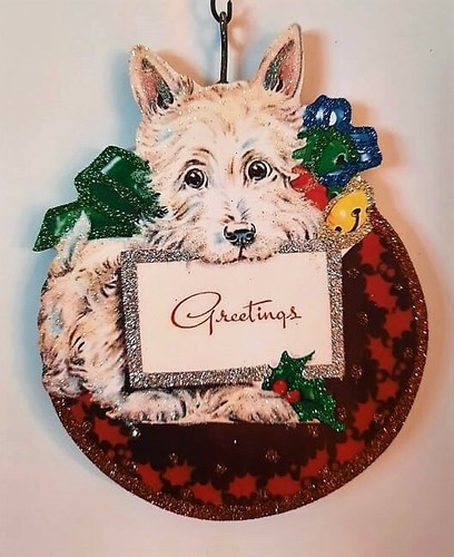 White terrier westie dog puppy - white,