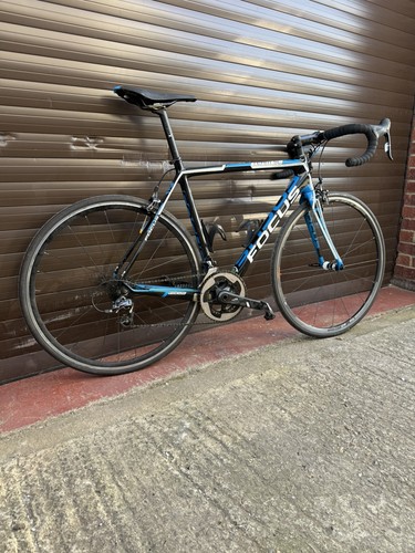Focus izalco carbon road - focus,