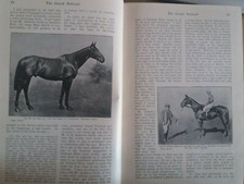 Grand National Horse Race