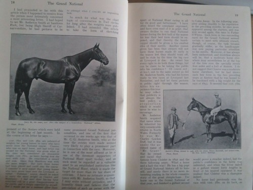 Grand national horse race - national,