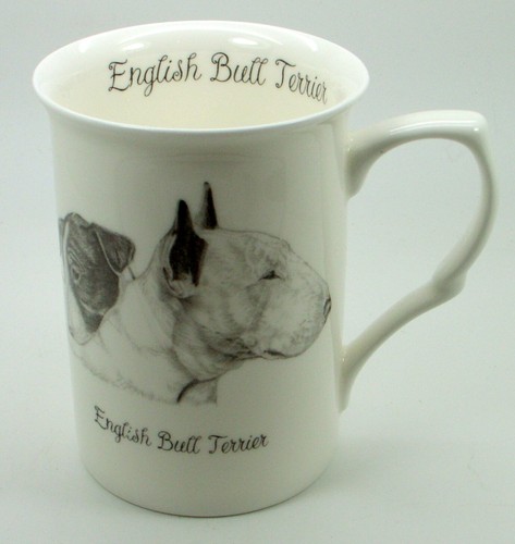 English bull terrier - terrier(head), ~