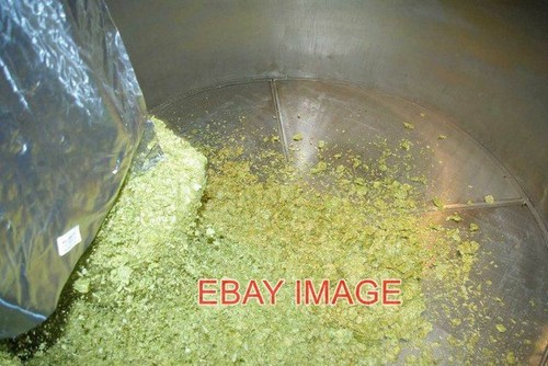 Photo hops here - photo,