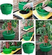 Tomato plant halos pot grow bag watering plastic round halos grow Tomatos seed