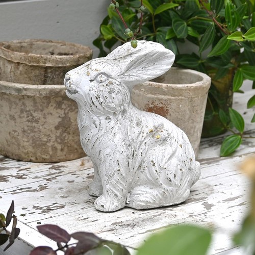 White bunny garden statue - garden,