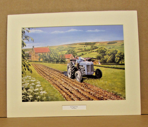 Grey ferguson tractor te20 - ferguson,