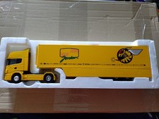 Eligor F1 1:43rd Jordan F1 Team Transporter
