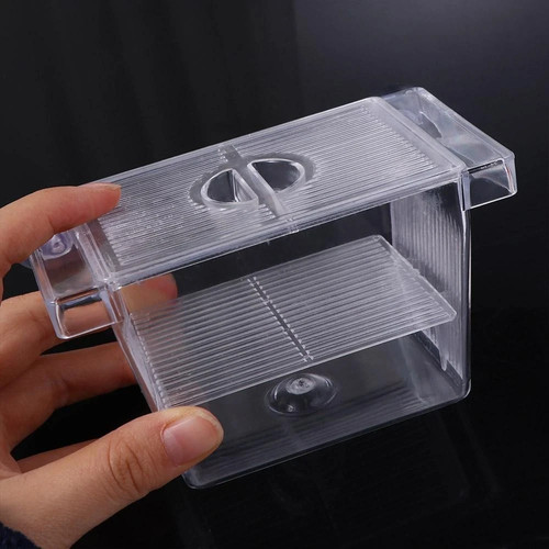 Fish isolation box acrylic - fish,