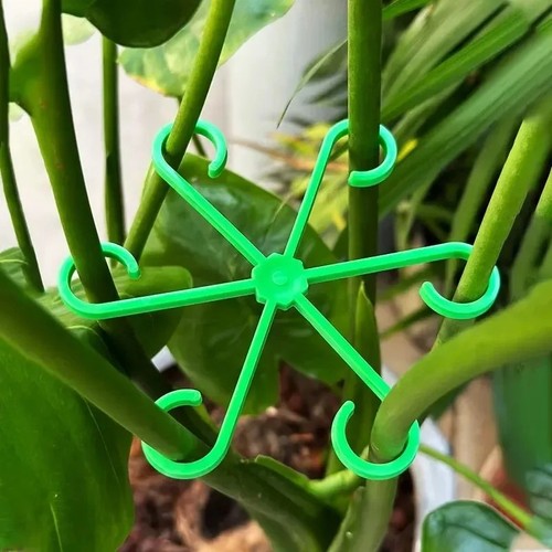 Flower plant stem - flower,