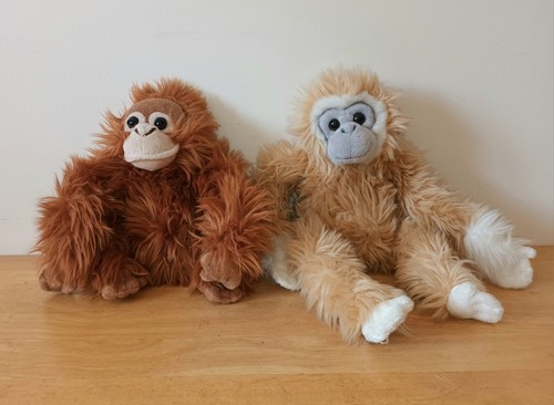 Keel orangutan hanging - -, &