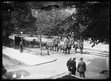 Photo:Funeral 1915-1923 Horse