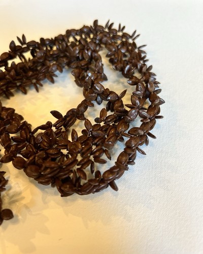 Vintage hawaiian koa - koa, seed