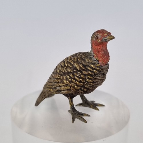 Antique austrian cold painted - antique,