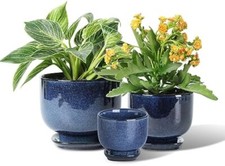 Ceramic Plant Pots Indoor Set