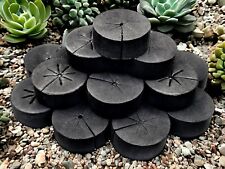 10 pcs|Grow Your Own Veggies with Soilless |Culture Hydroponics |Seedling Sponge