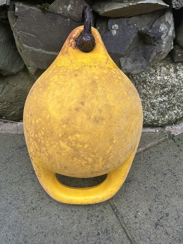 Mooring pick buoy anchor - pick, up