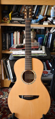 Faith mercury parlour guitar - faith,