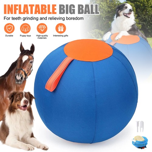 Dogs herding ball horse - dogs,