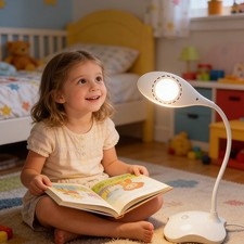 Adjustable LED Desk Lamp with