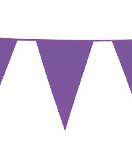 10m colour bunting flags - 10m,