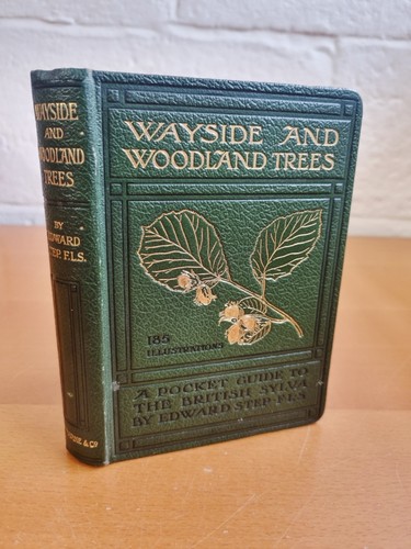Edward step wayside and - edward,