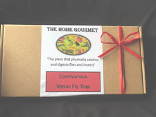 VENUS FLY TRAP -  Full Growing Kit/Ideal Gift