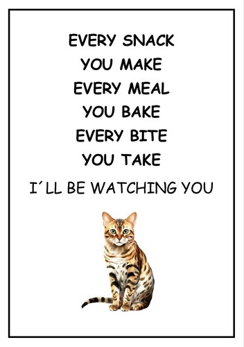 Bengal cat be - i’ll, watching