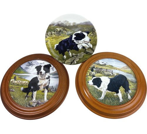 Border collie collectors - border,