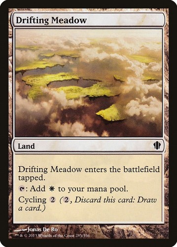 Drifting meadow c13 - meadow,