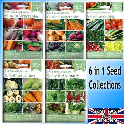 Kitchen salad seeds - seeds, basil