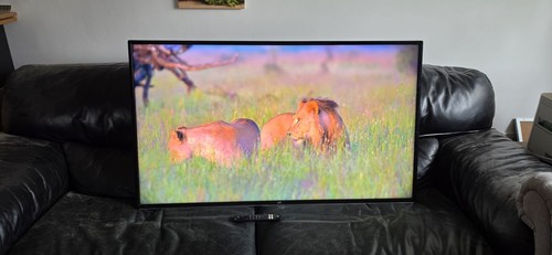 Jvc 49in led hdr tv - 49in, 4k