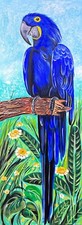 Blue Macaw Bird Acrylic,oil