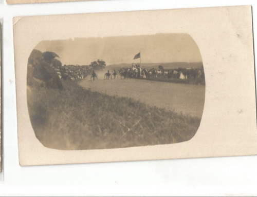 Rppc horse racing trotter - rppc,