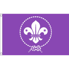 Scouts Purple Flag Table Hand
