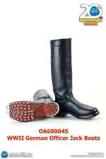 1/6 Scale Dragon In Dreams DID