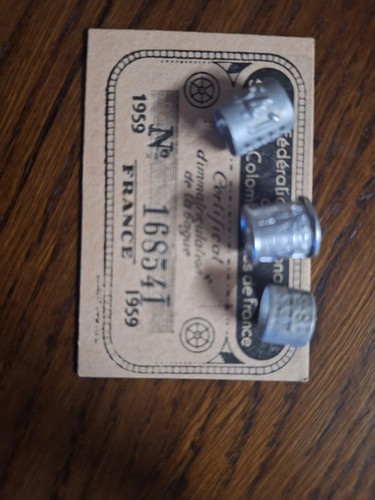Racing pigeon ring - x, france