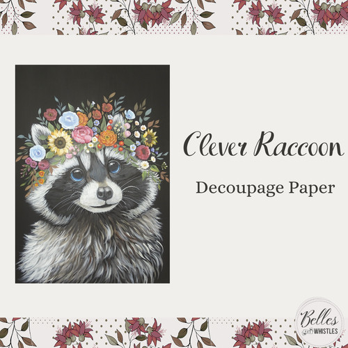 Clever raccoon or a2 - raccoon, rice